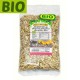 Miez floarea soarelui crud BIO Driedfruits - 500 g