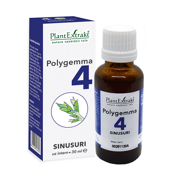 Polygemma nr 4 (sinusuri) PlantExtrakt - 30 ml