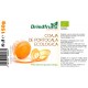 Coaja portocala confiata BIO Driedfruits - 150 g