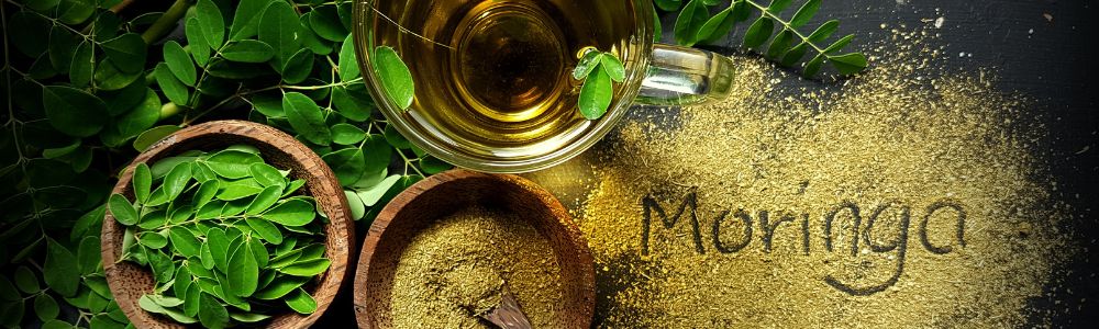 Moringa- Beneficii pentru echilibrul hormonal, sănătate digestivă și starea de spirit