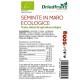 Seminte in BIO Driedfruits - 500 g