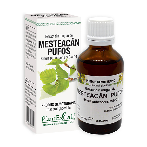 Extract din muguri de mesteacan pufos PlantExtrakt – 50 ml