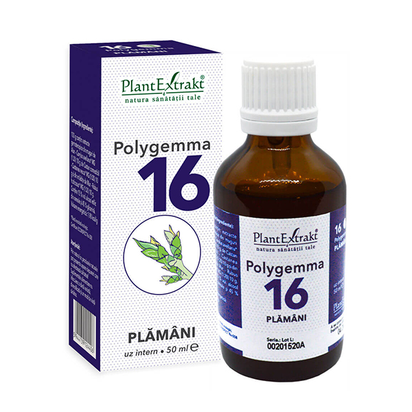 Polygemma nr 16 (plamani si detoxifiere) PlantExtrakt – 50 ml