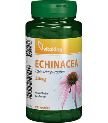 Extract de Echinacea 250 mg Vitaking - 90 capsule